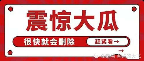娱乐吃瓜影视大全,吃瓜影视大全，带你领略幕后风云
