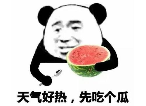 娱乐吃瓜表情包